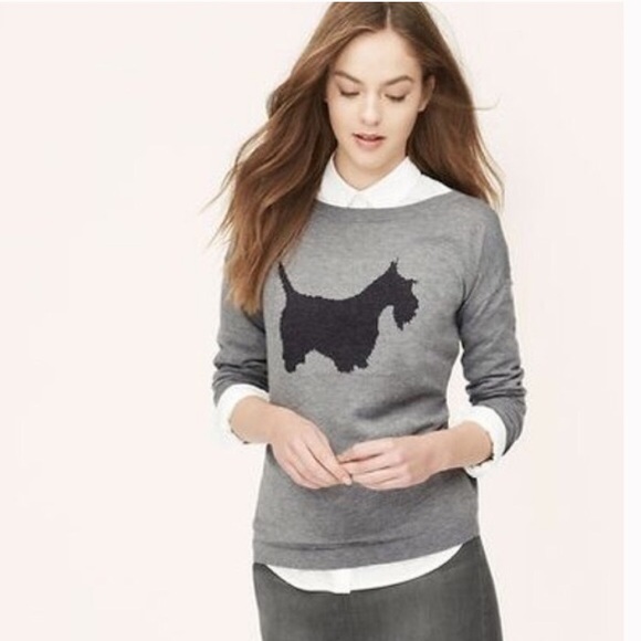 loft dog sweater